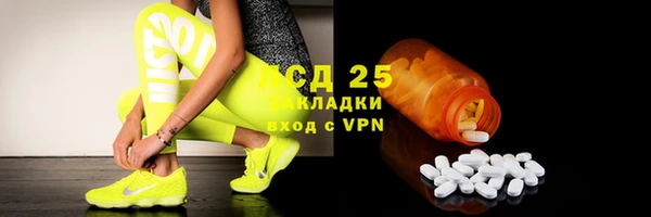 PSILOCYBIN Зерноград